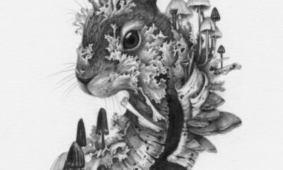 a drawing by Christina Mrozik of a rabbit enveloped in mushrooms