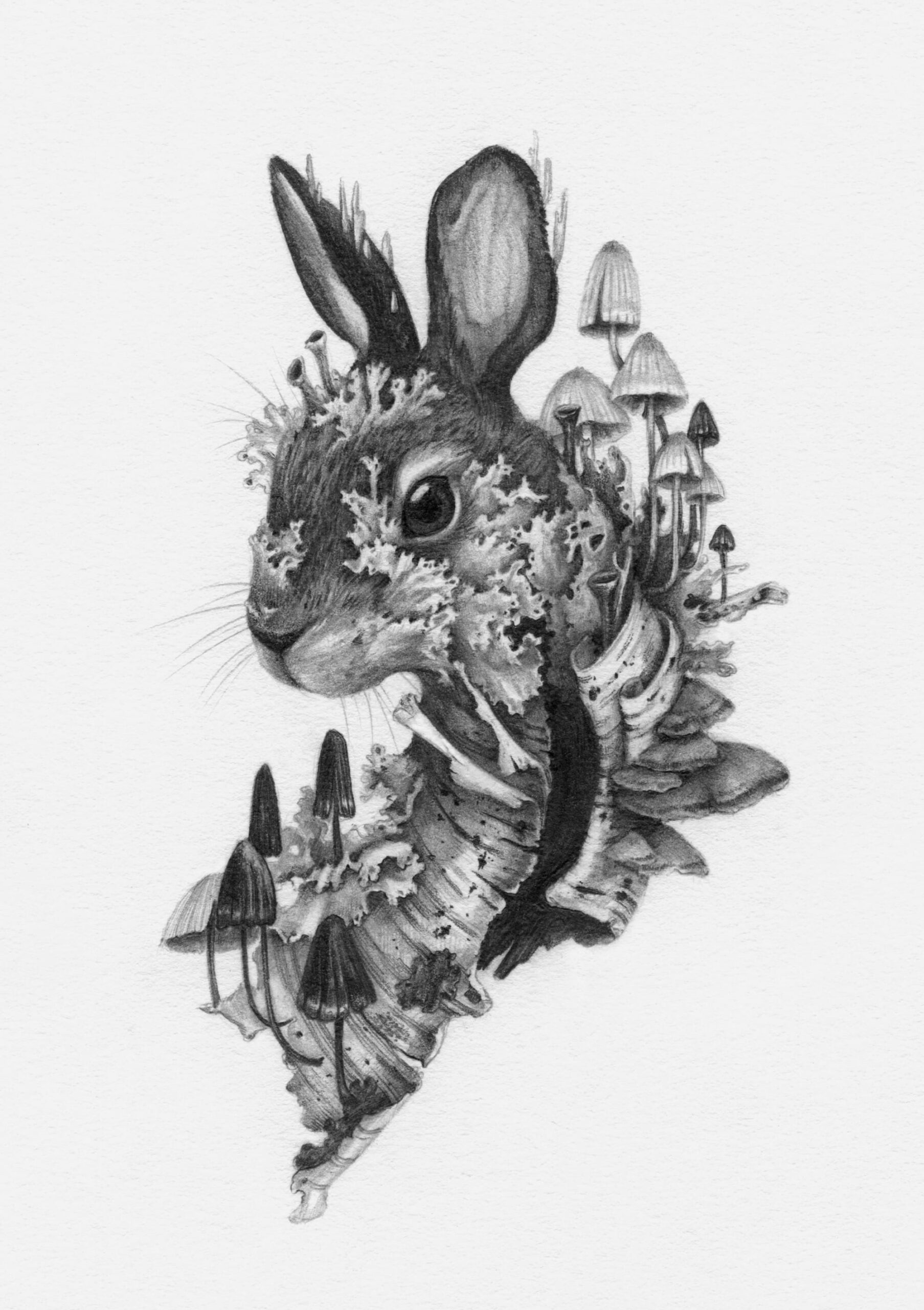 a drawing by Christina Mrozik of a rabbit enveloped in mushrooms