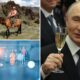 Putin's $26B mission to live forever includes 3D printed flesh, organ transplants and naked ice baths